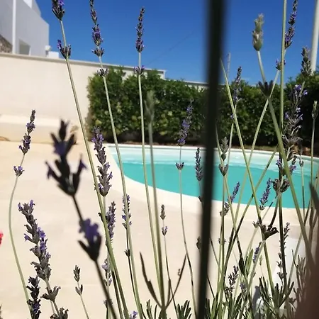 Falso Pepe Holiday home *