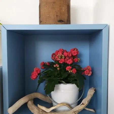 Falso Pepe Semesterbostad Marzamemi