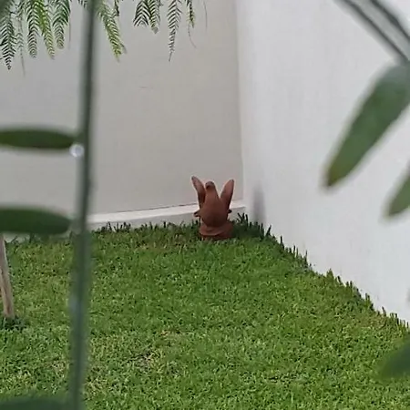 Casa vacanze Falso Pepe *