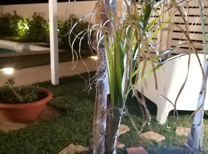 Falso Pepe Сasa de vacaciones *