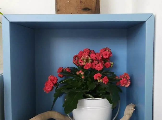 Falso Pepe Сasa de vacaciones Marzamemi